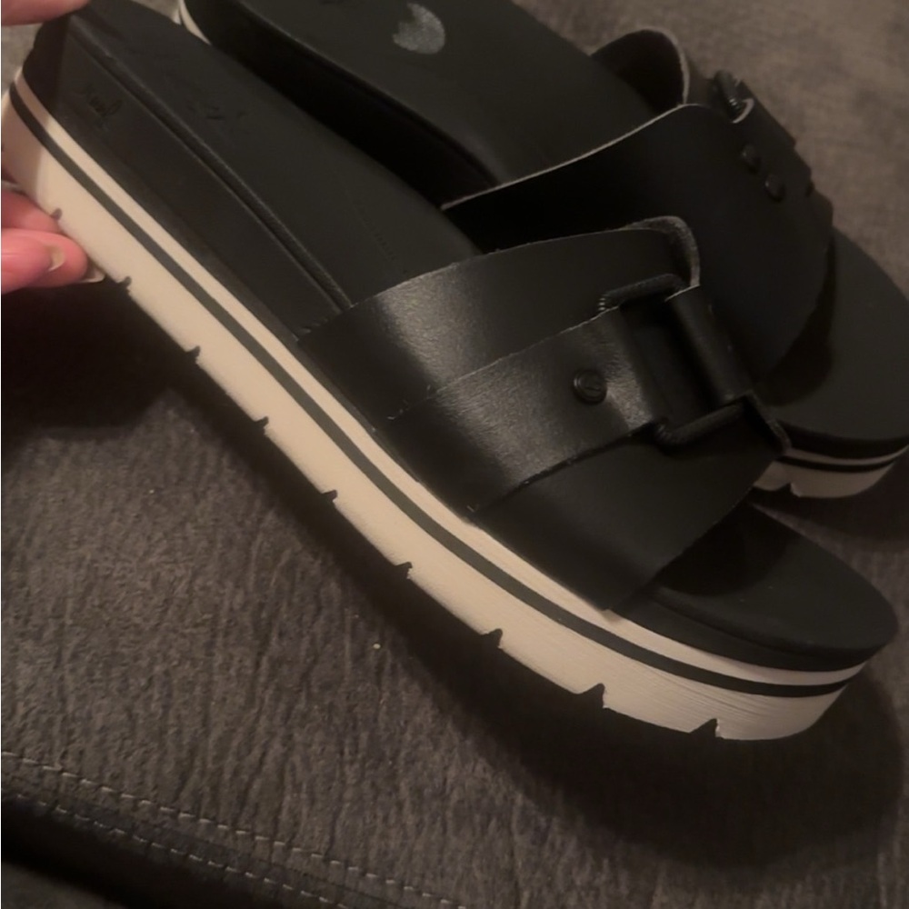 Reef black and white slides
